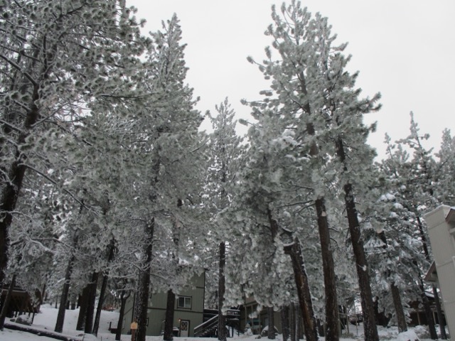 walking on campus at sunset